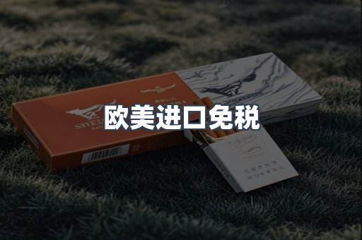 欧美进口免税